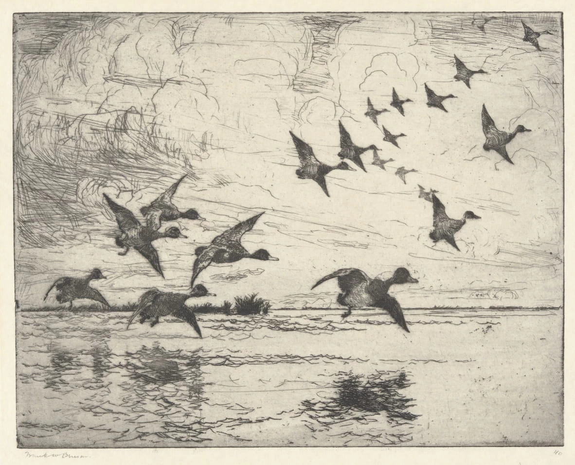 L'allarme - Yale University Art Gallery